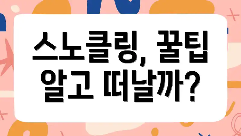스노클링, 꿀팁 알고 떠날까?