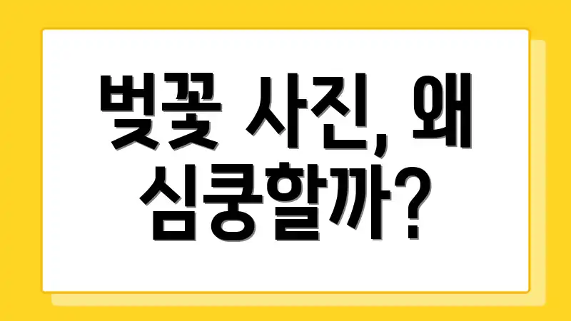 벚꽃 사진, 왜 심쿵할까?