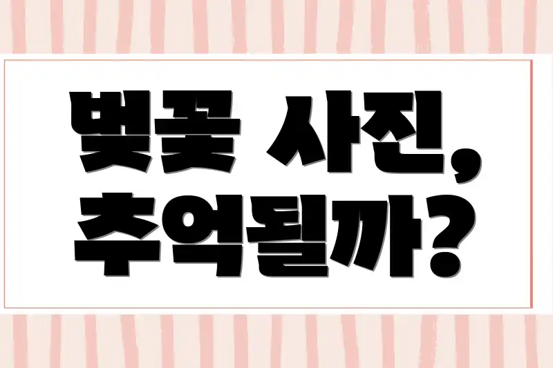 벚꽃 사진, 추억될까?