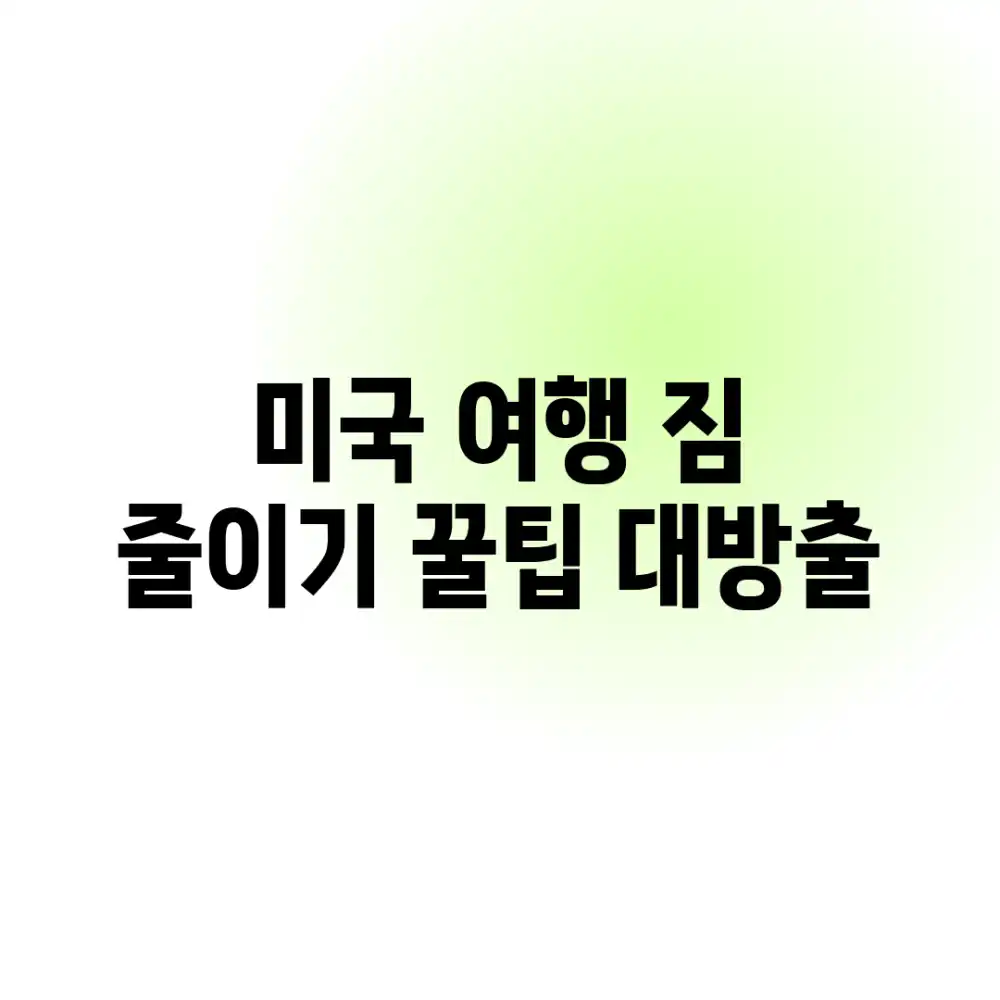 미국 여행 짐 줄이기! 꿀팁 대방출