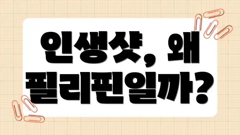 인생샷, 왜 필리핀일까?
