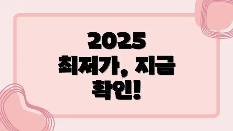 2025 최저가, 지금 확인!