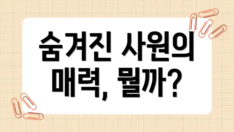 숨겨진 사원의 매력, 뭘까?