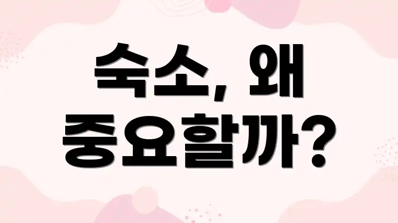 숙소, 왜 중요할까?