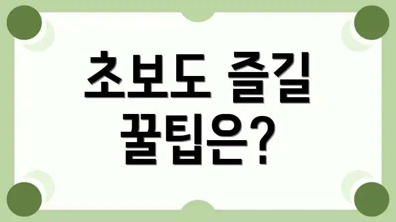 초보도 즐길 꿀팁은?