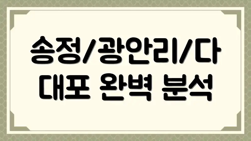송정/광안리/다대포 완벽 분석