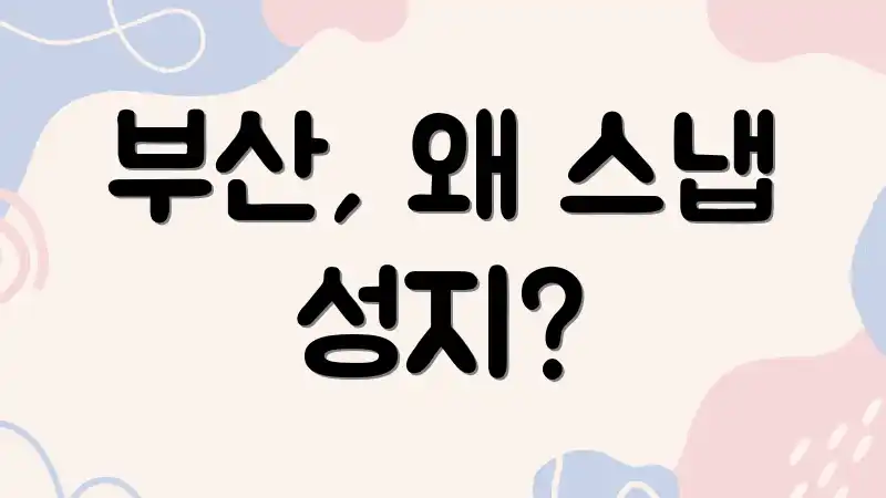 부산, 왜 스냅 성지?