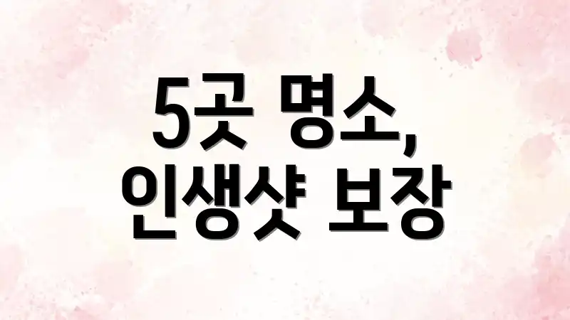 5곳 명소, 인생샷 보장