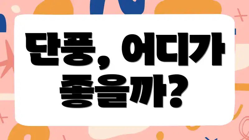 단풍, 어디가 좋을까?