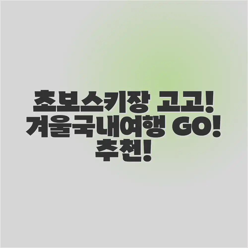 초보도 스키장! 겨울 국내 여행 추천 ⛷️